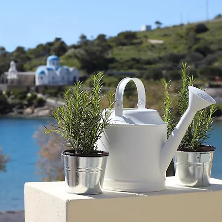 Syra Bay